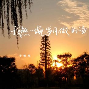 Download track 我熬一碗岁月做的汤 于晚晚