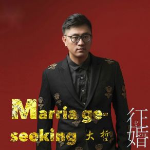 Download track 征婚 (Dj版) 大哲