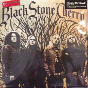 Download track Tired Of The Rain Black Stone Cherry