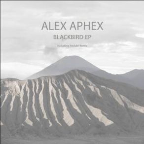 Download track Disequilibrium (Redub! Remix) Alex Aphex