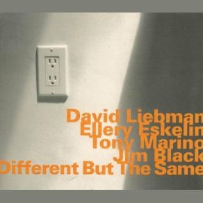 Download track You Call It Ellery Eskelin, David Liebman