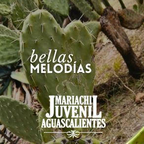 Download track Ya Lo Pagarás Con Dios Mariachi Juvenil Aguascalientes