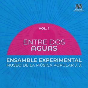 Download track Como Si Fuera Un Niño Ensamble Experimental Museo De La Música Popular J. J