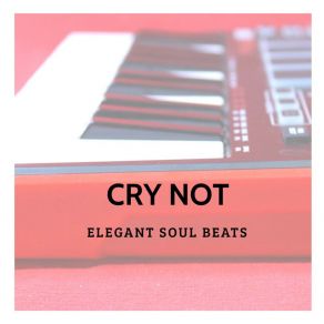 Download track Cry Not Elegant Soul Beats