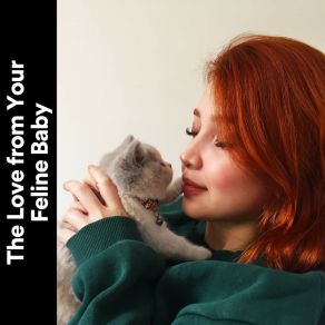 Download track My Kitten's Area Of Meditation Cat Music