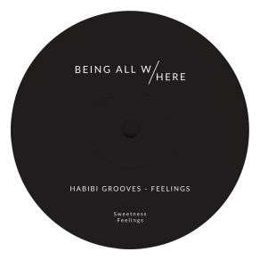 Download track Feelings Habibi Grooves