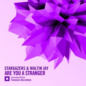 Download track Are You A Stranger (Original Mix) The Stargazers, Waltin Jay