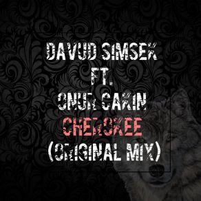 Download track Cherokee (Original Mix) Onur Cakin, Davud Simsek