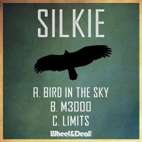 Download track Bird In'the Sky The Silkie