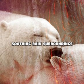 Download track Calming Of The Rain Rain Sounds