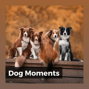 Download track Endless Entertainment Dog Music Therapy