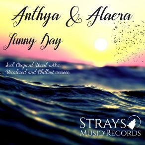 Download track Sunny Day (Original Vocal Mix) Alaera