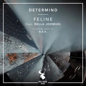 Download track Feline (B. A. X. Remix) Nella JoomunB. A. X