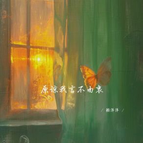 Download track 原谅我言不由衷 (释怀女生版) 赖洋洋