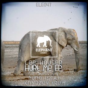 Download track Hurt Me (Knyazev (RU) Remix) Knyazev (RU)