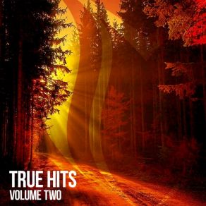 Download track Achelous (Radio Edit) Suanda TrueLuke Terry