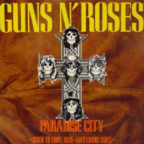 Download track This I Love Guns N´Roses