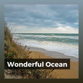 Download track Ocean Covers Ocean Sound Machine
