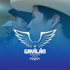 Download track La Gitanilla (En Vivo) Gavilán Genuino