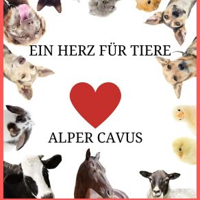 Download track Die Hoffnung Stirbt Zuletzt Alper Cavus