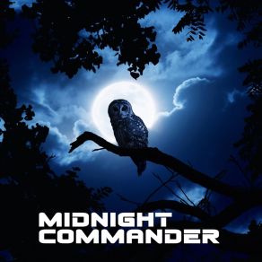 Download track Midnight Commander Midnight Commando