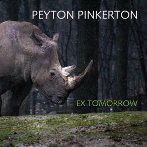 Download track What Is Known Peyton Pinkerton