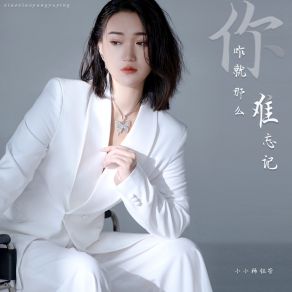 Download track 你咋就那么难忘记 (女版) 小小杨钰莹