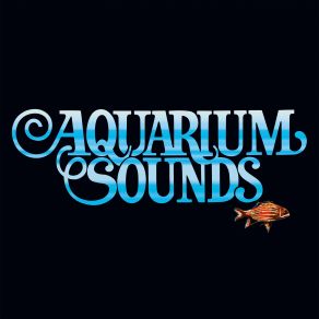 Download track Acquario Aquarium Sounds