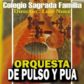 Download track Pizzicato Polka Orquesta De Pulso