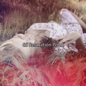 Download track Professional Sleeper White Noise Relaxation