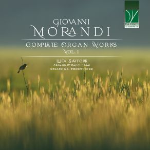 Download track Sinfonia Per Organo In D Minor Luca Sartore