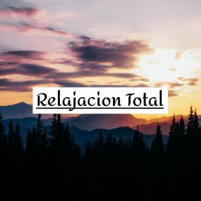 Download track Música Tranquila Relajación Del Alma