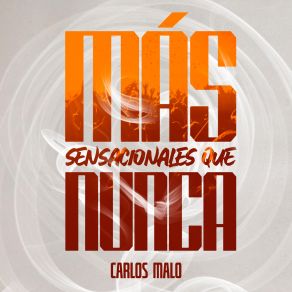 Download track Encontre El Amor Carlos Malo