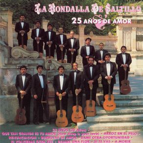 Download track Burbujas De Amor La Rondalla De Saltillo