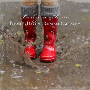 Download track Pleasing Daytime Rainfall Cadence, Pt. 18 Sebastian Riegl