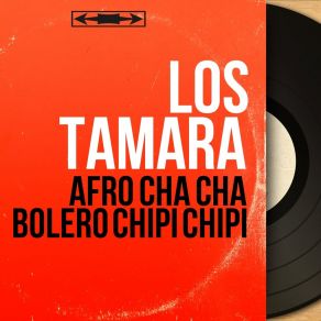 Download track Solo Por Ti Los Tamara