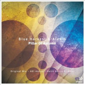 Download track Pillar Of Autumn (AKI Amano Remix) Blue Harvest, Alex H