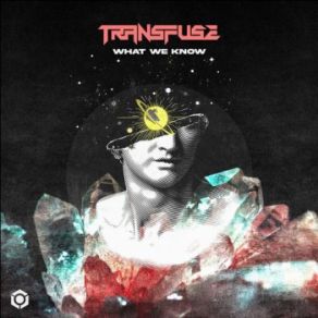 Download track What We Know Transfuse