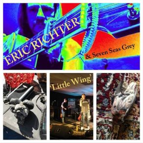 Download track Little Wing & Seven Seas Grey