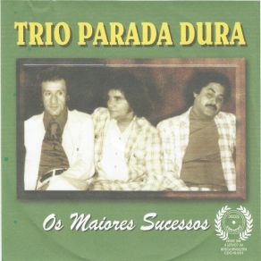 Download track Vida Perdida Trio Parada Dura