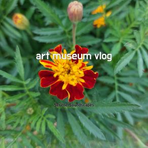 Download track Art Museum Vlog Serene Soundscapes