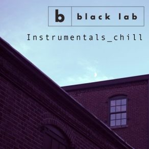 Download track This Night (Instrumental) Black Lab