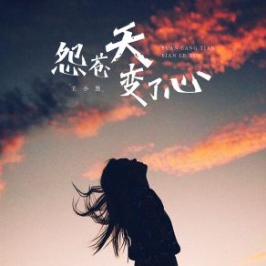 Download track 怨苍天变了心 (如果让我遇见你) 王小黑