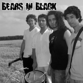 Download track Red Flower Bears In Black