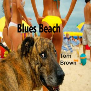 Download track Seashore Shuffle Tom Brown