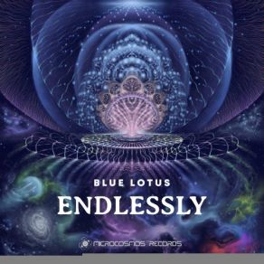 Download track Metapositive (Original Mix) Blue Lotus