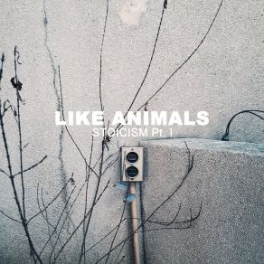 Download track Stories We Don't Know Like Animals