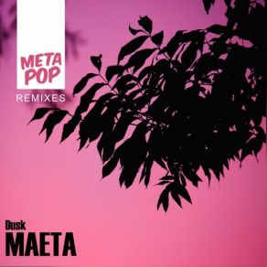 Download track Dusk (HAI フカ Remix) MAETA