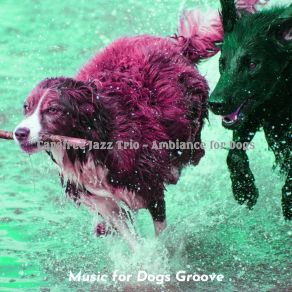 Download track Astonishing Music For Sleeping Dogs Music For Dogs Groove