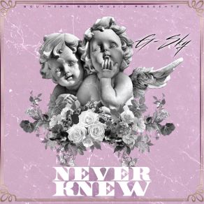 Download track Never Knew G-Sky